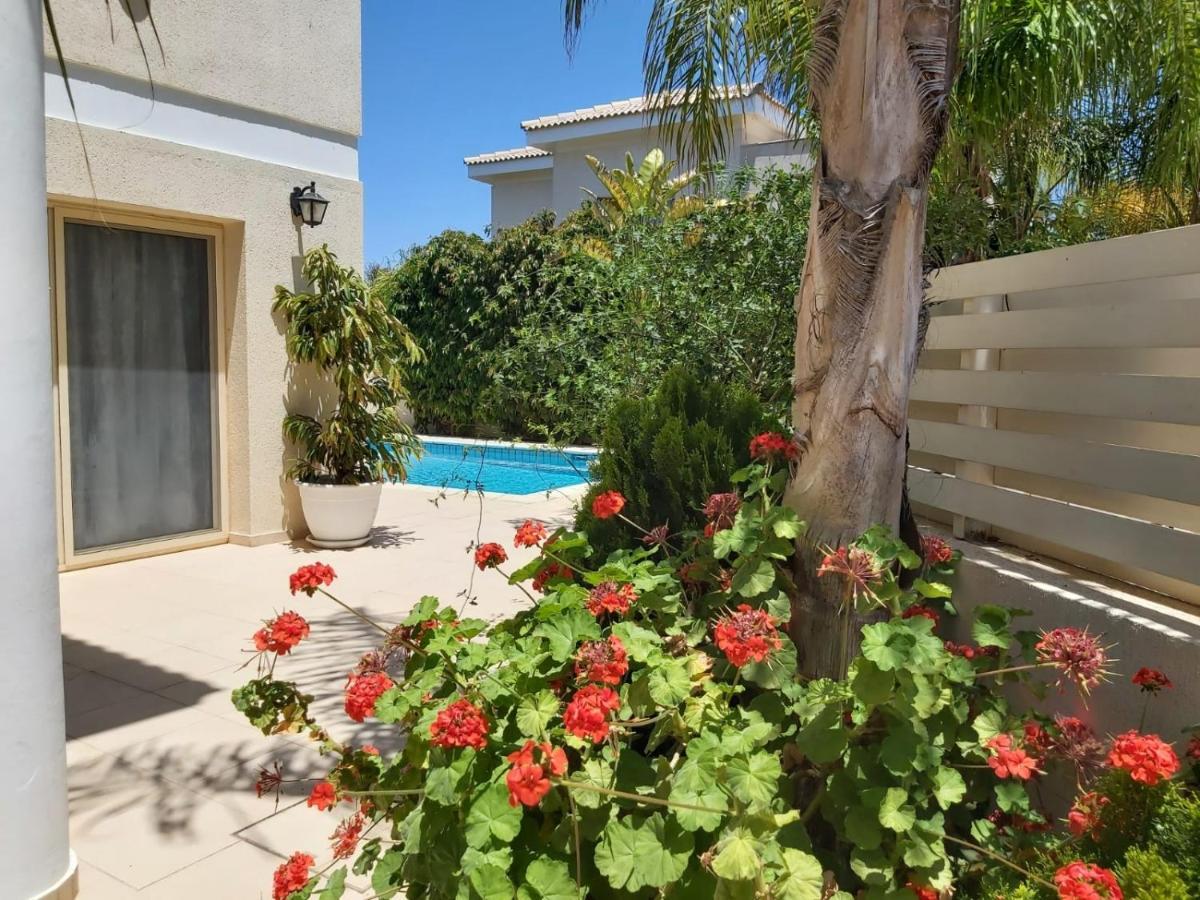 Anthorina Villa 3 普罗塔拉斯 外观 照片